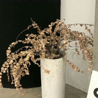 Furry赛博风格设计技巧兽圈社群